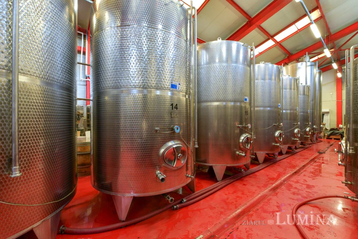 Vinuri noi produse la crama Jercălăi 262751