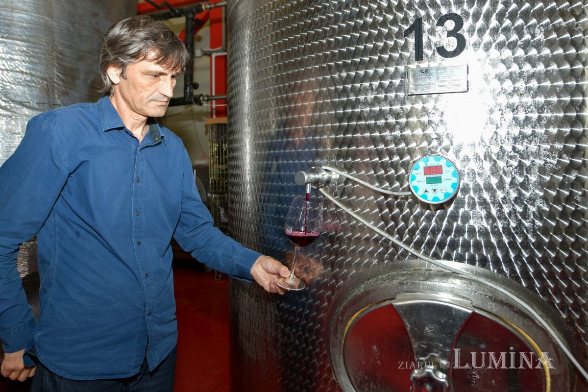 Vinuri noi produse la crama Jercălăi 262753