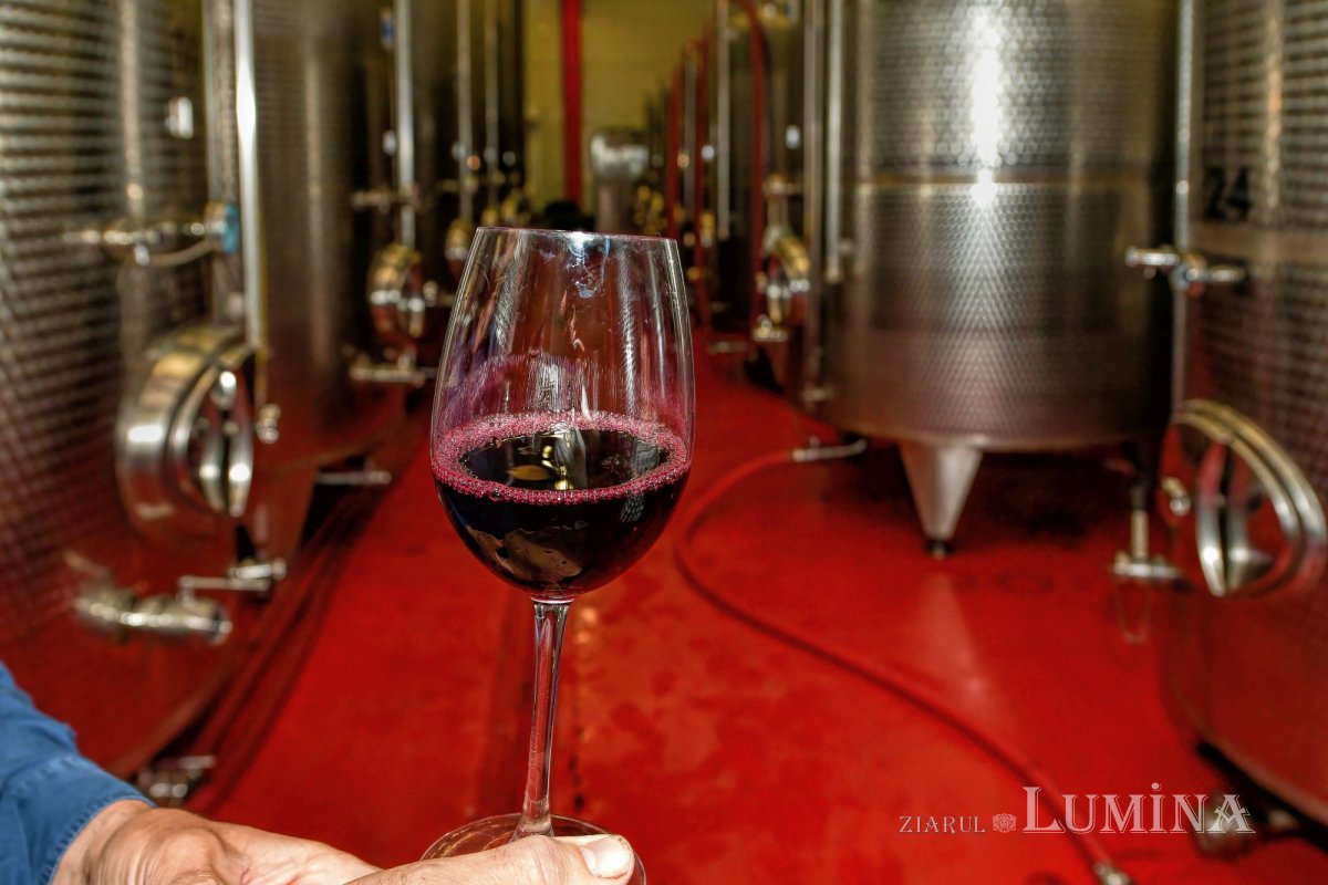 Vinuri noi produse la crama Jercălăi 262756