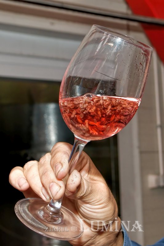 Vinuri noi produse la crama Jercălăi 262759