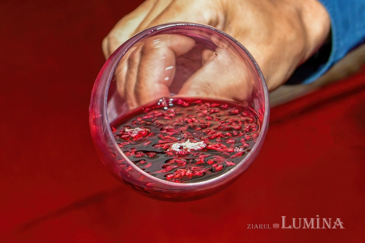 Vinuri noi produse la crama Jercălăi 262760