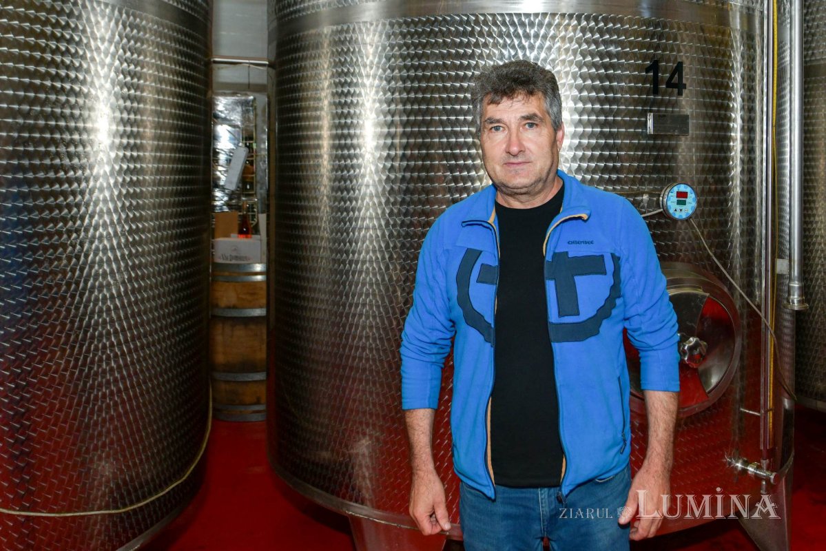 Vinuri noi produse la crama Jercălăi 262761