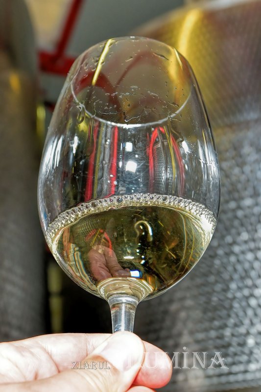 Vinuri noi produse la crama Jercălăi 262762