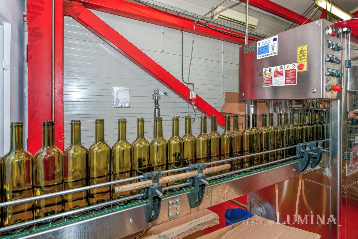 Vinuri noi produse la crama Jercălăi 262764