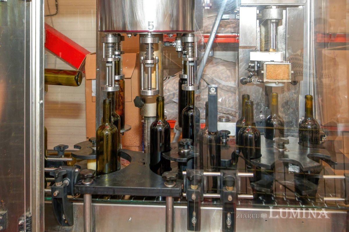 Vinuri noi produse la crama Jercălăi 262765