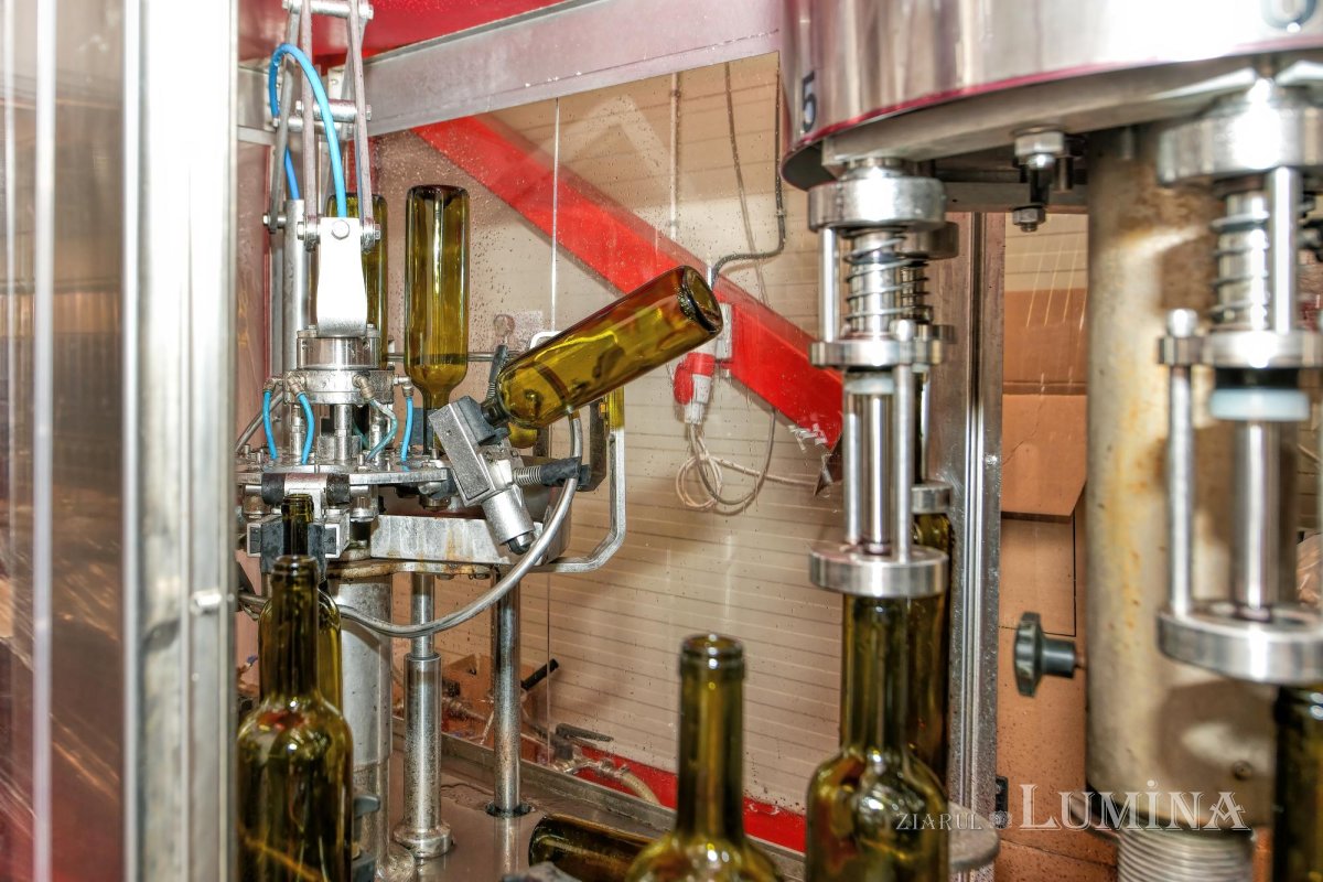 Vinuri noi produse la crama Jercălăi 262766