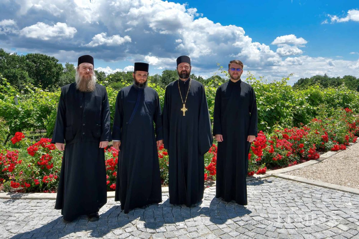 Vinuri noi produse la crama Jercălăi 262769