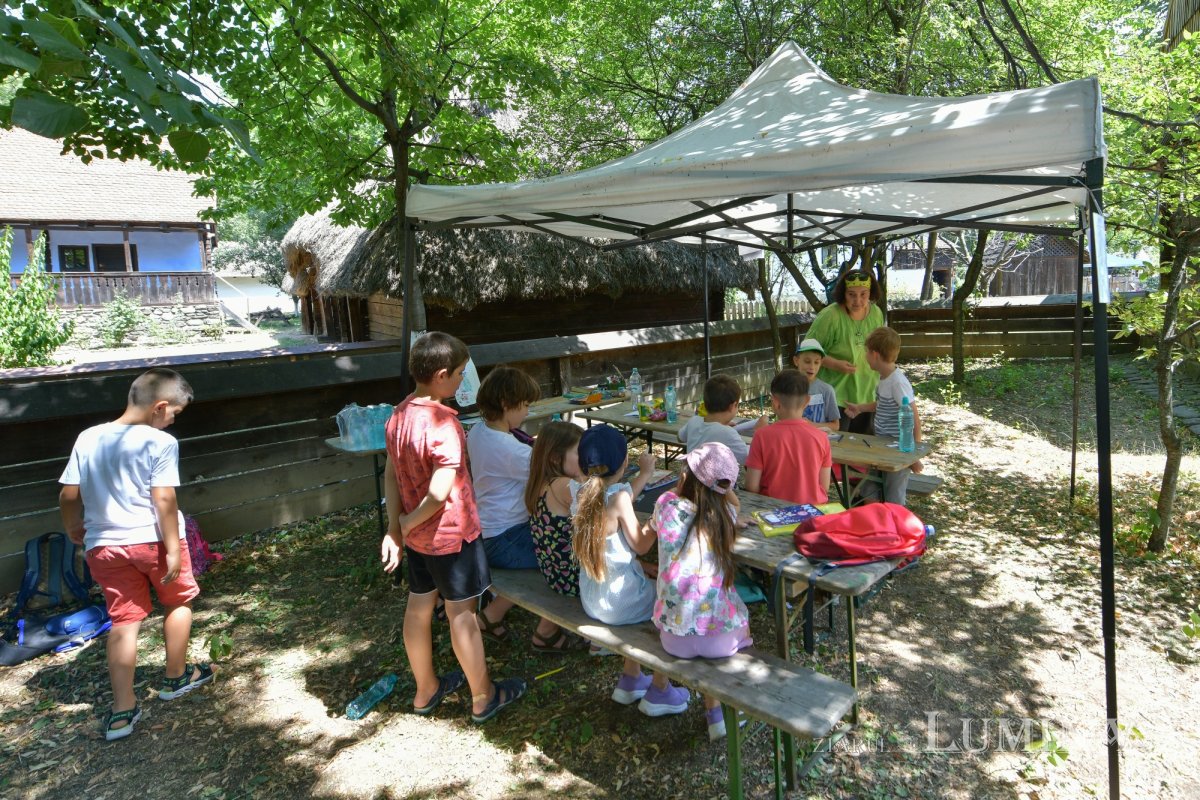 Vacanţa la muzeu 262975