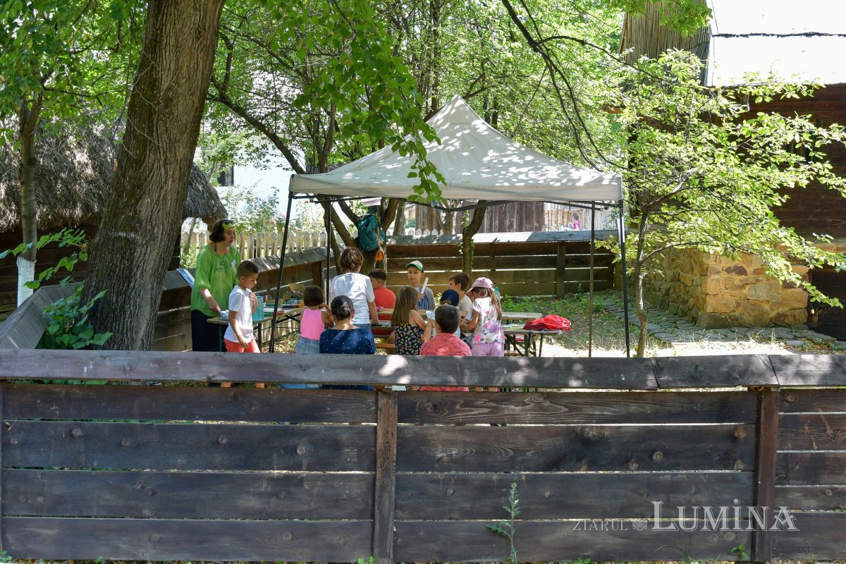 Vacanţa la muzeu 262978