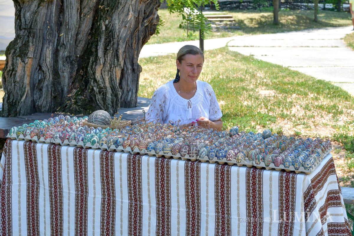 Vacanţa la muzeu 263000