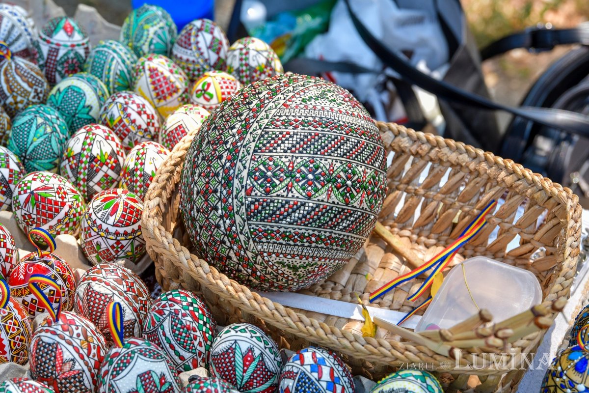 Vacanţa la muzeu 263002