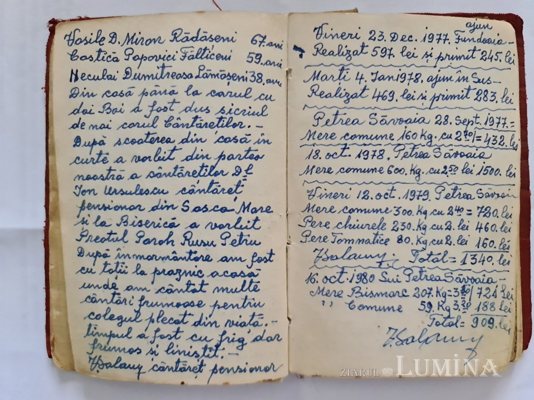 Un dascăl de școală veche 263905