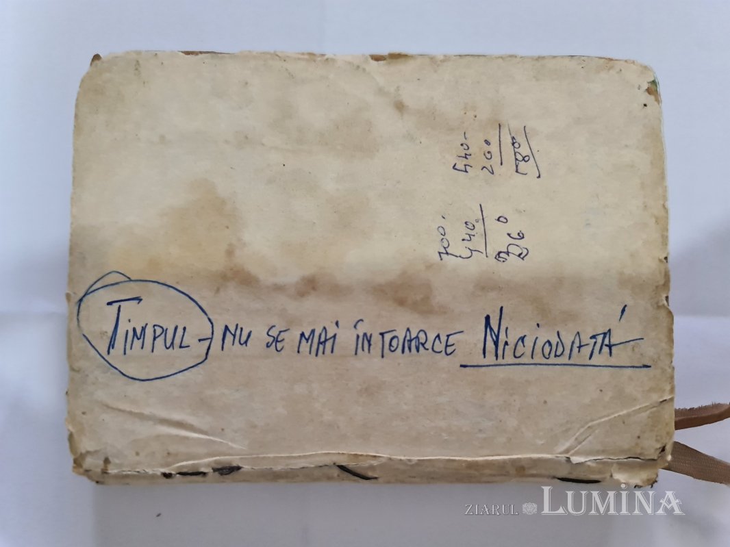 Un dascăl de școală veche 263912