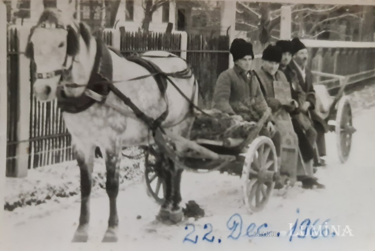 Un dascăl de școală veche 263914