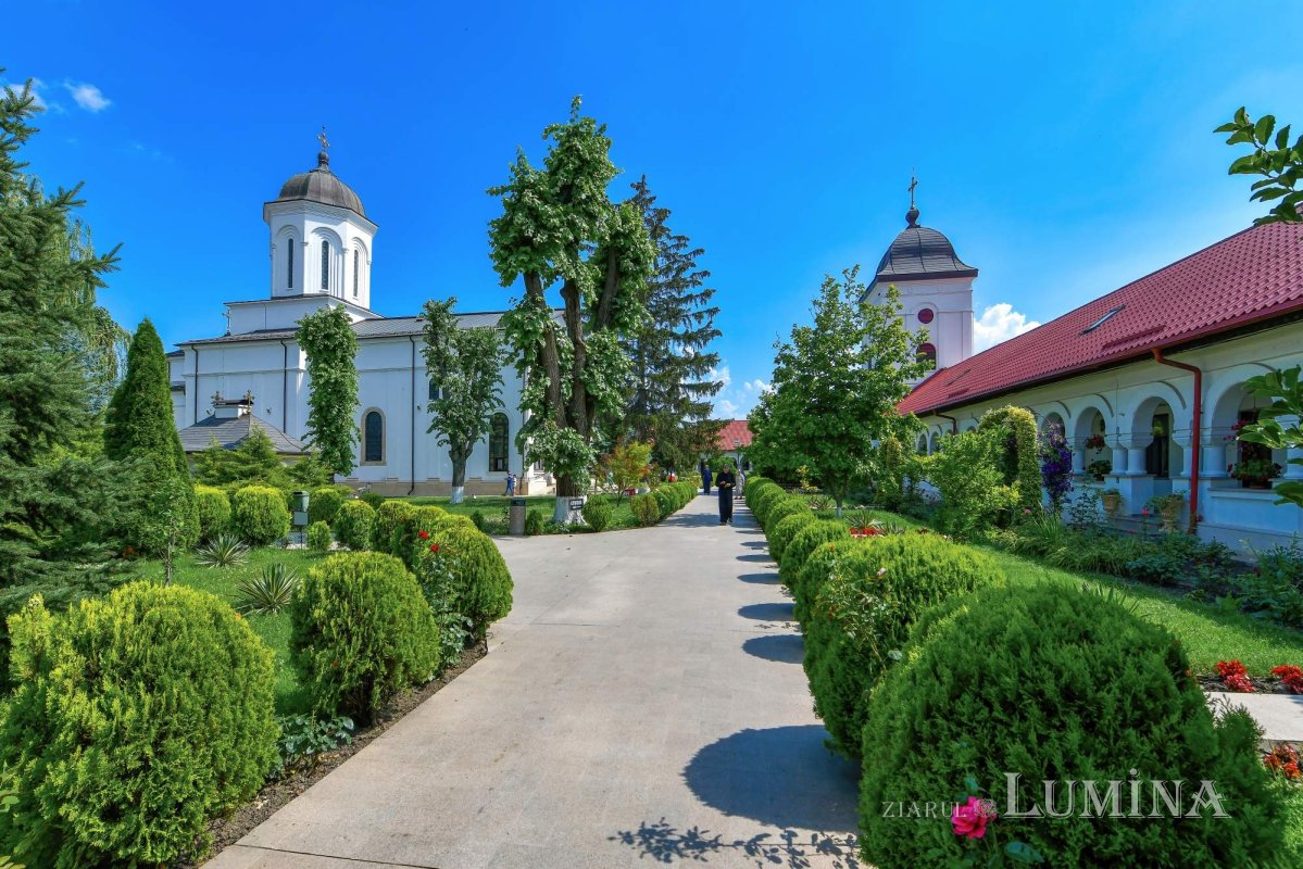 Sclipirile Luminii 265221