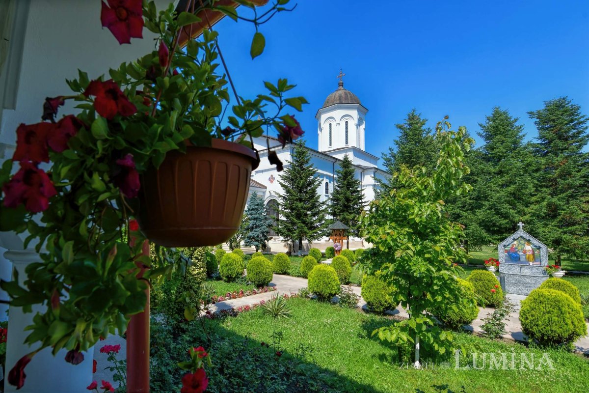 Sclipirile Luminii 265227