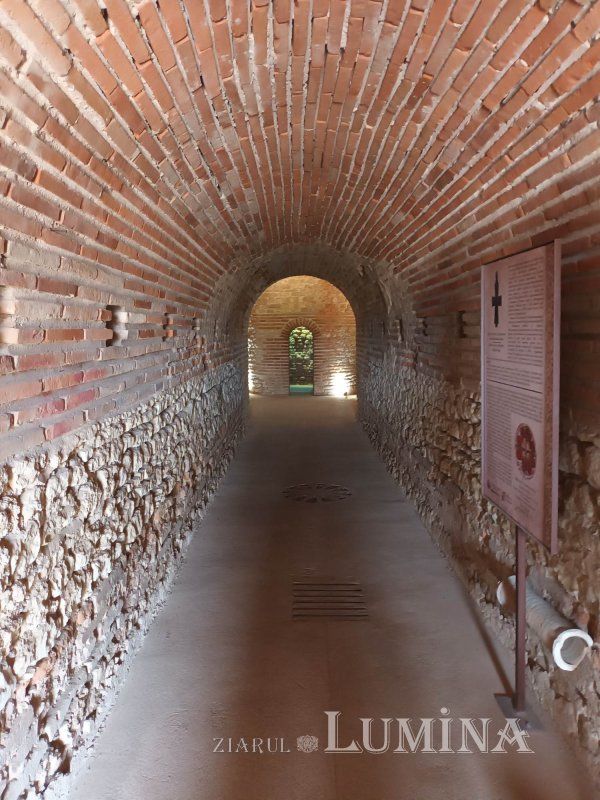 Tumultul istoriei 265191