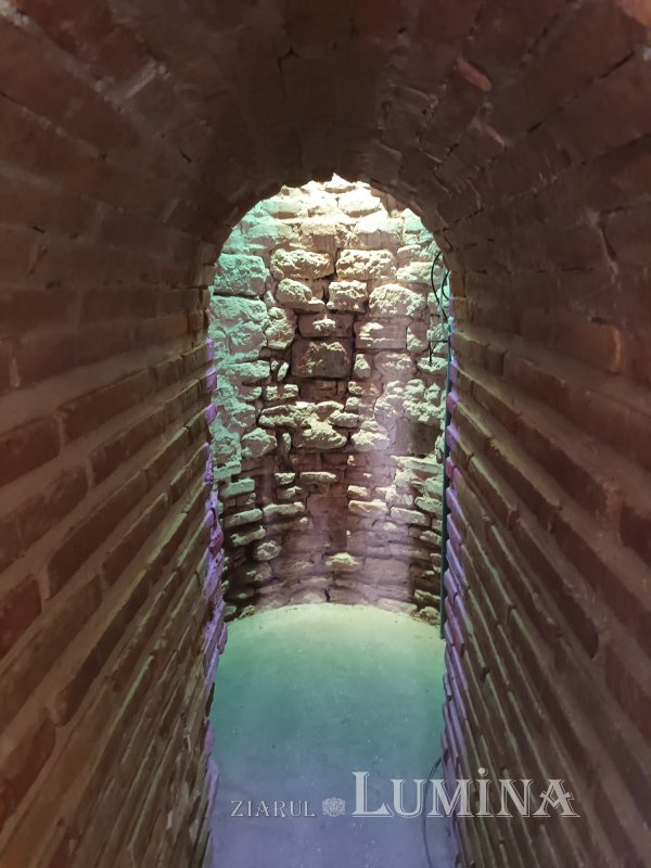 Tumultul istoriei 265199