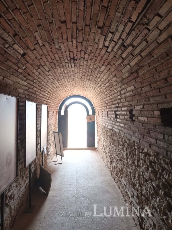 Tumultul istoriei 265209