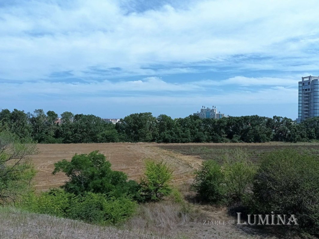 Tumultul istoriei 265211