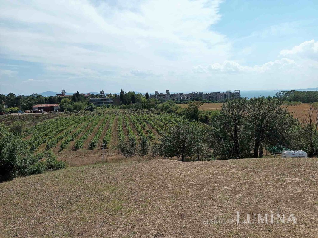 Tumultul istoriei 265212