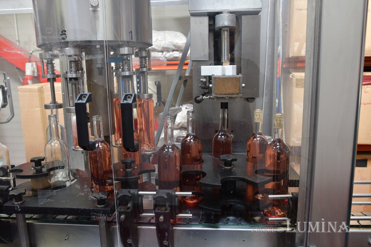 Campanie de prezentare a vinurilor produse la mănăstirea prahoveană Jercălăi 265789