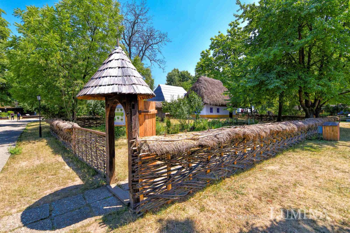 Renăscut de două ori din cenuşă 265700