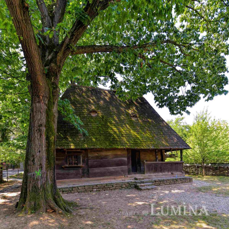 Renăscut de două ori din cenuşă 265704