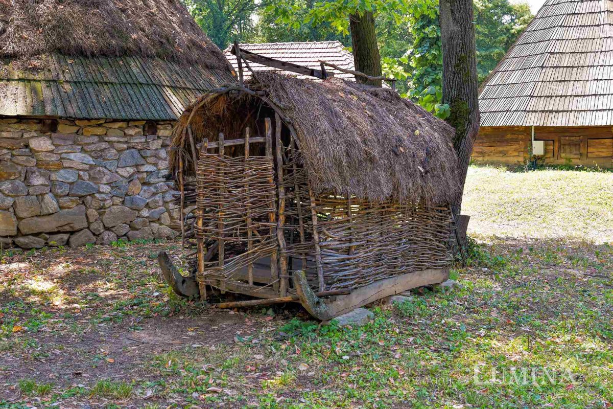 Renăscut de două ori din cenuşă 265709