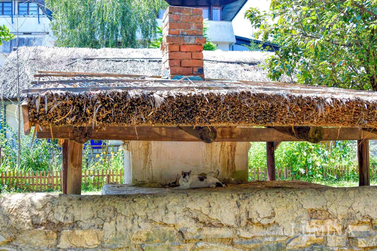 Renăscut de două ori din cenuşă 265711