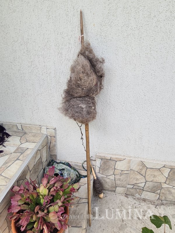 La Tăntița, în împărăția firelor 265827