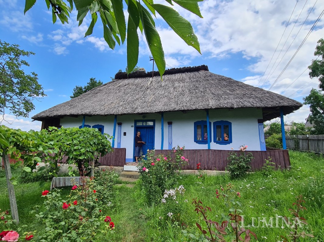 La Tăntița, în împărăția firelor 265831