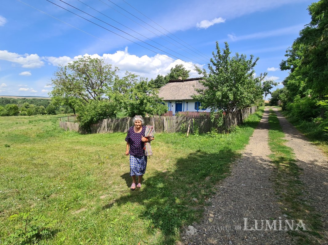 La Tăntița, în împărăția firelor 265837