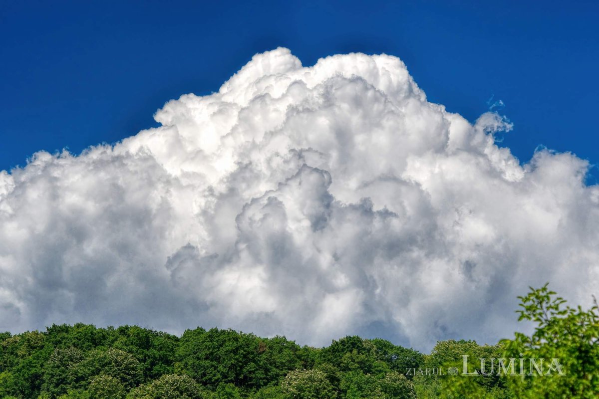 Sclipirile Luminii 266209