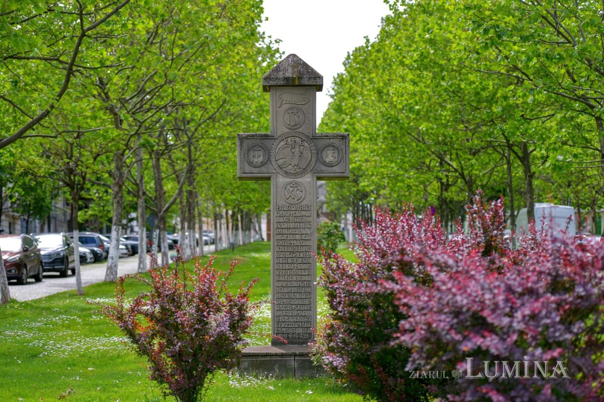 Sclipirile Luminii 268340