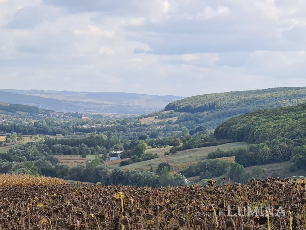 Sfânta Parascheva, ocrotitoare pe Valea Șomuzului 272014