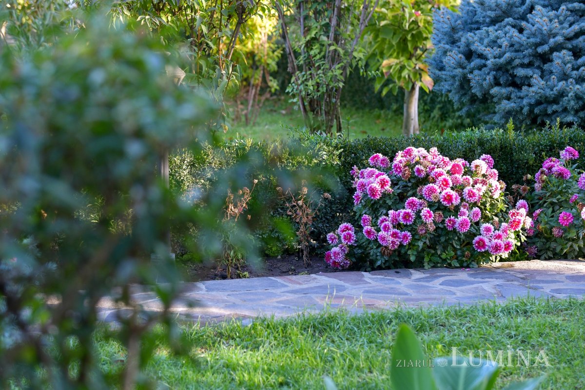 Sfânta Cuvioasă Parascheva, cinstită la mănăstirea ilfoveană Samurcășești 272338