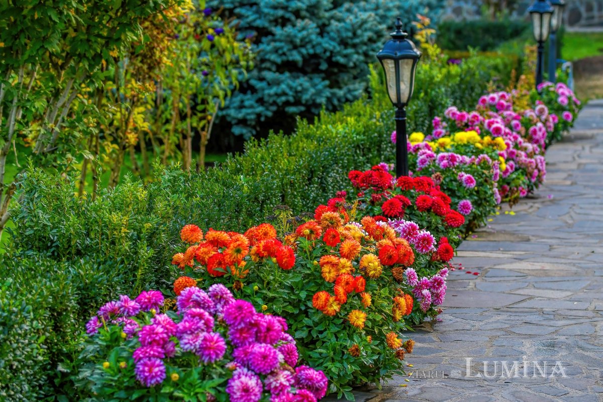 Sfânta Cuvioasă Parascheva, cinstită la mănăstirea ilfoveană Samurcășești 272340