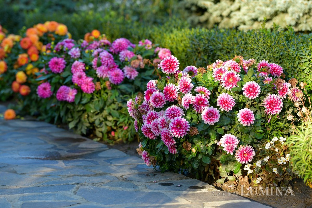 Sfânta Cuvioasă Parascheva, cinstită la mănăstirea ilfoveană Samurcășești 272363