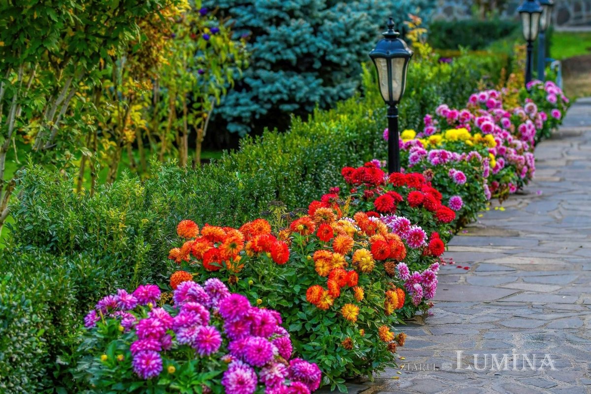 Sclipirile Luminii 273037