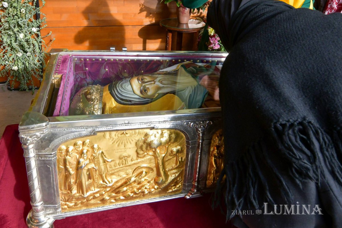 „Tot pământul este plin de minunile Sfântului Mare Mucenic Dimitrie” 274147