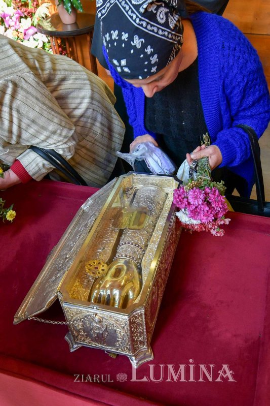 „Tot pământul este plin de minunile Sfântului Mare Mucenic Dimitrie” 274149