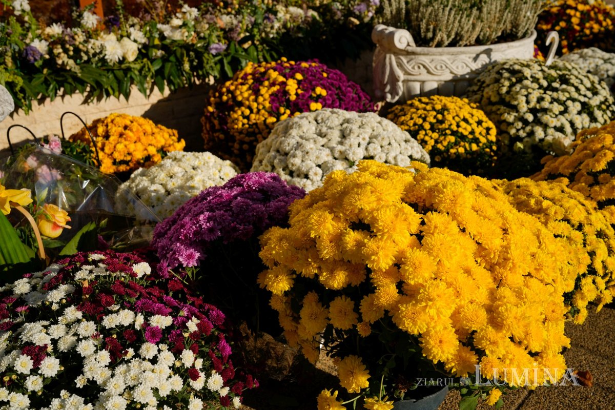 Duminica a 24‑a după Rusalii pe Colina Patriarhiei 274647