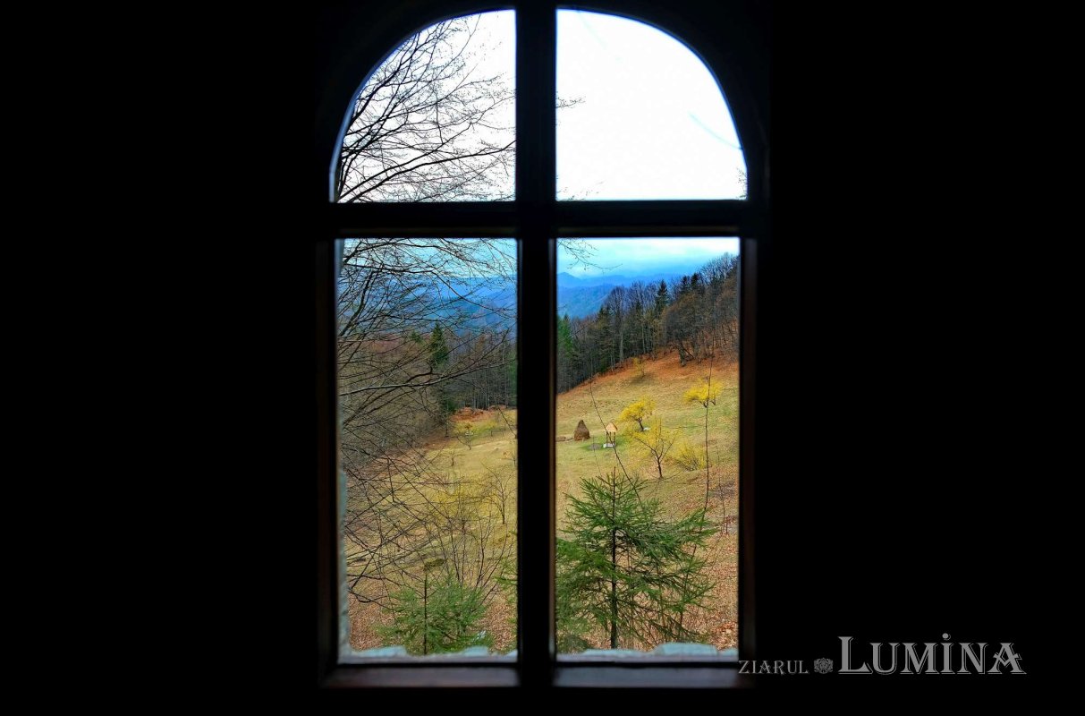 Remedii împotriva răzbunării 275154