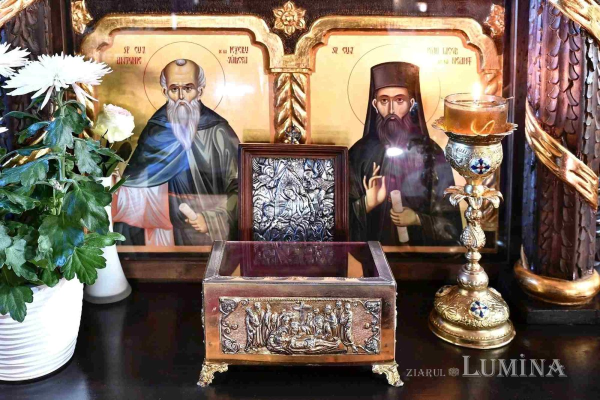 Sclipirile Luminii 275264