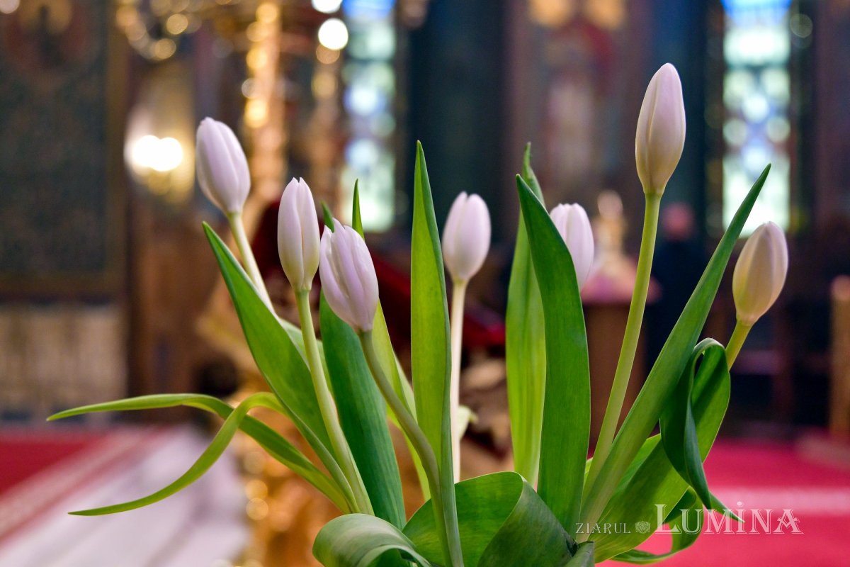 Prăznuirea Arhiepiscopului Mirei Lichiei pe Dealul Patriarhiei 279790