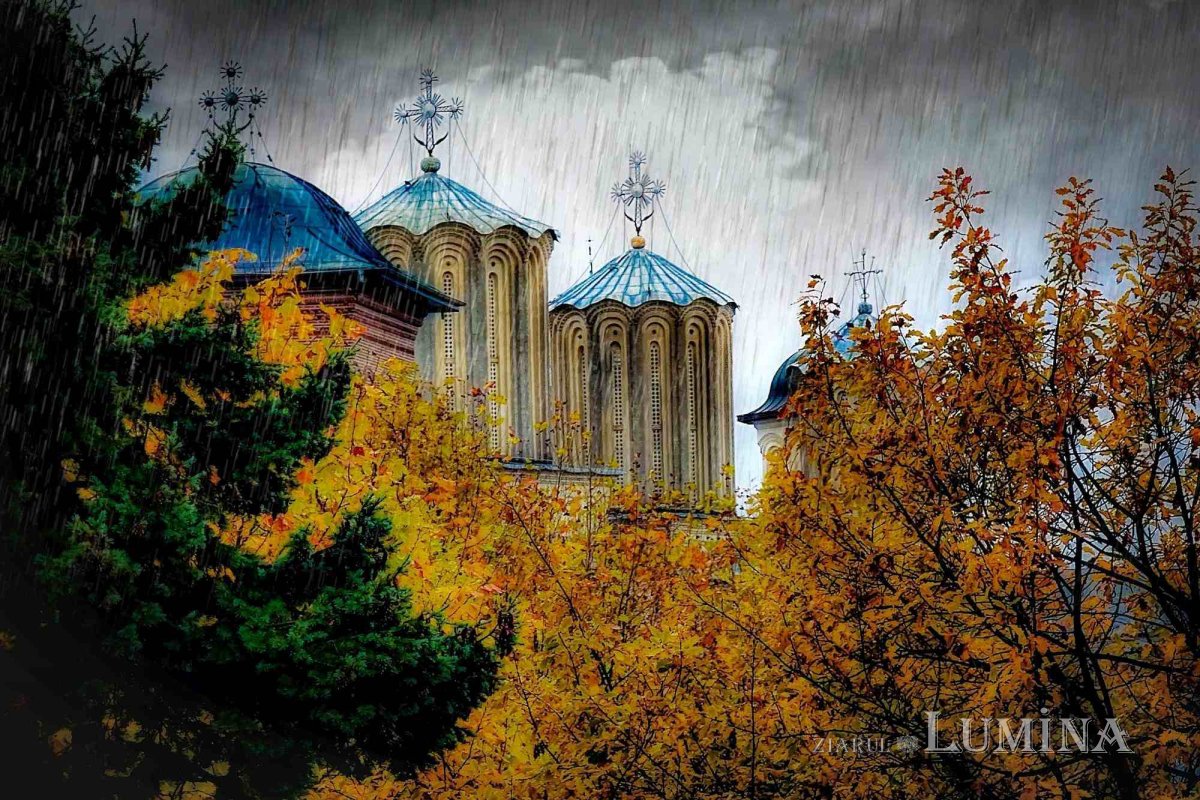 Sclipirile Luminii 279995