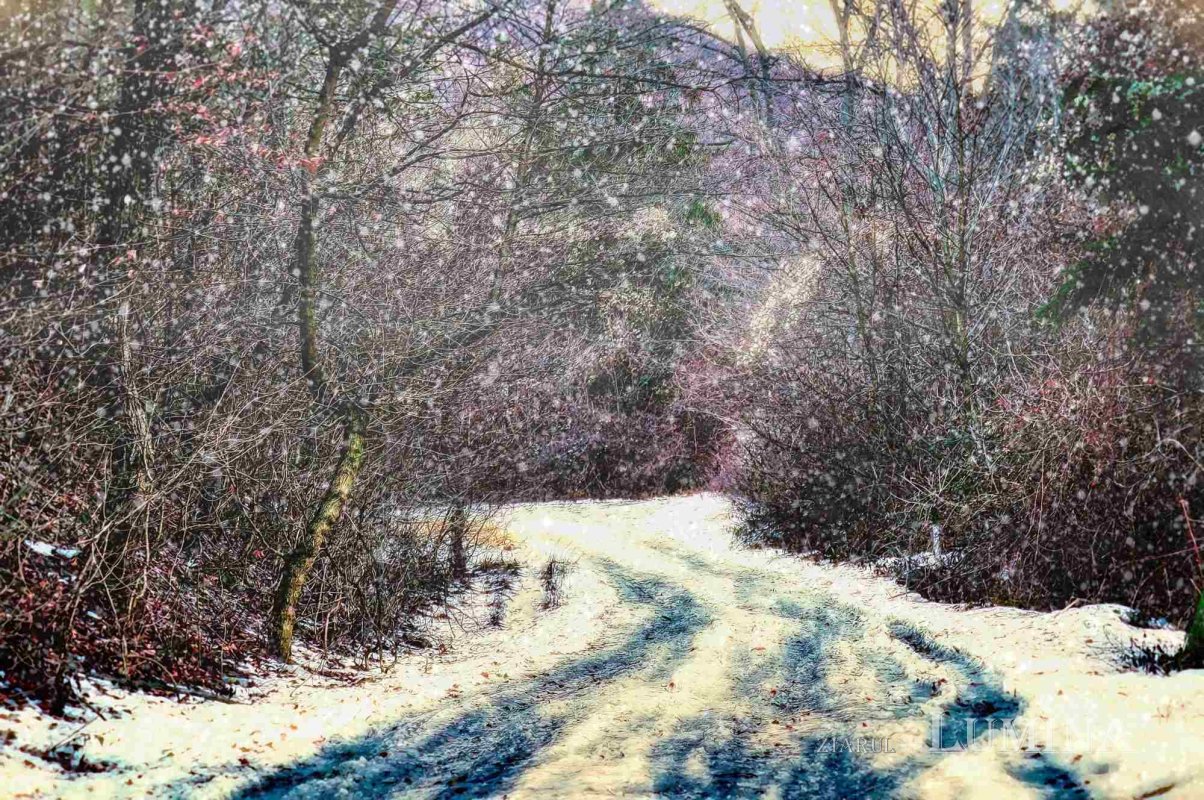 Sclipirile Luminii 279998