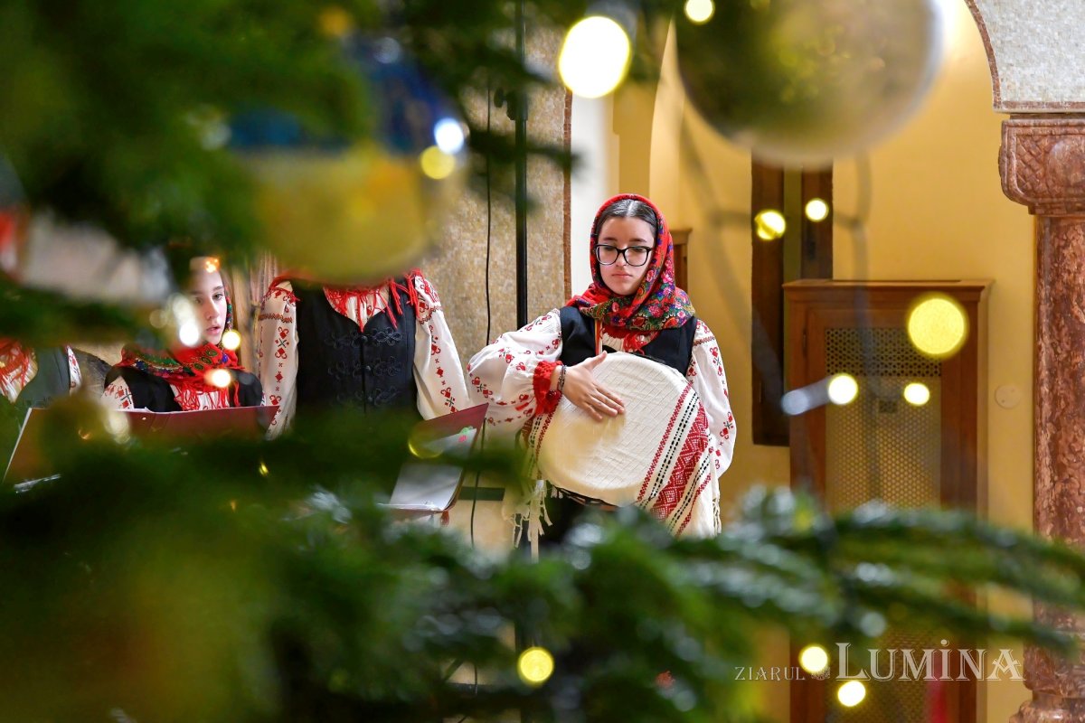 Sclipirile Luminii 282069