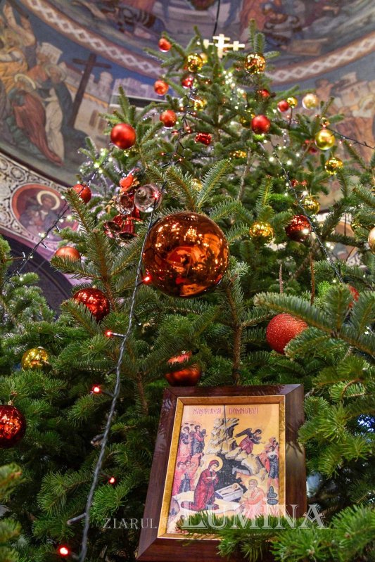 Sclipirile Luminii 282070